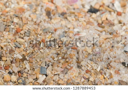 Mixture of Sand and Shells for Bird and Parrots bottom cage. Texture pattern close up detail macro. Abstract background.