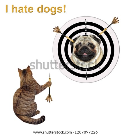 The cute cat makes a dart throw on the target. I hate dogs. White background.