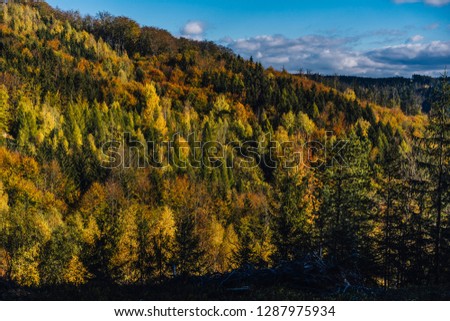 View of anm autumn landscape. Colorful trees and forest, blue sky and orange, yellow, red, green and brow leaves on tree. Mountain or hill landscape in the fall.