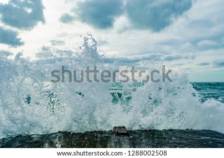 Splashing wave on the Black sea in the sunny day.