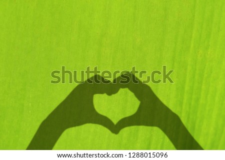 Heart shaped shadow on banana leaves 