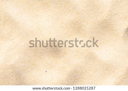 Close-up fine beach sand in the summer sun. As background