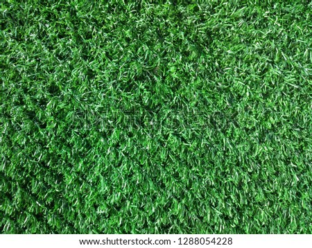 Grass texture or grass background. Green grass for golf course, soccer field or sports background concept design
