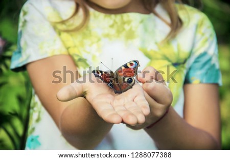 child with a butterfly in his hands. Selective focus. Royalty-Free Stock Photo #1288077388
