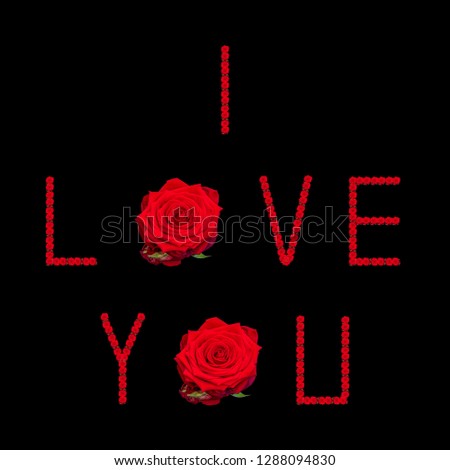 Fine art still life color image of the sentence,I Love You, constructed from floral/flower letters made of rose blossom macros on black background