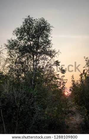 Natural scenery in the evening