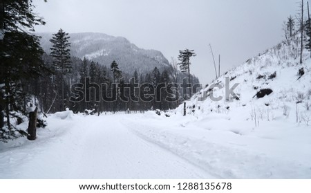Beautiful winter landscape in the Tatra mountains, Poland.                                