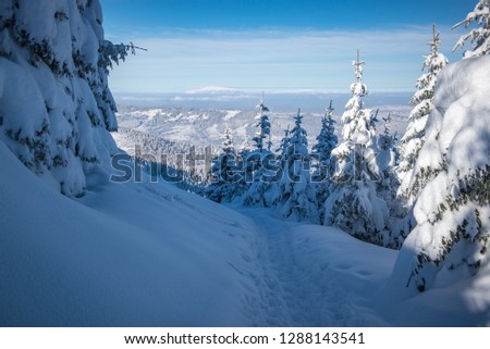 Winter landscape - Tatra Mountains - Poland 2019