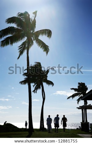 Palm trees at beautiful tropical beach in Hawaii