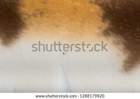 Beautiful Bright Brown, Orange Black and White Barn Owl (Tyto alba) Feather Close up Detail Texture. Abstract Pattern Background