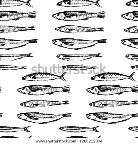 Vector seamless pattern with hand drawn fish made with black chalk. Beautiful food design elements, perfect for prints and patterns
