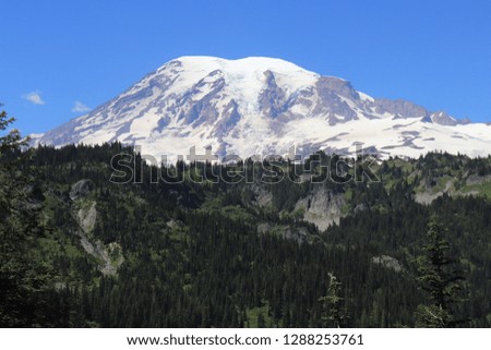 Snow Capped Mount Rainier
