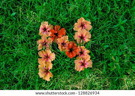 Flower Alphabet: Letter N. Letters made of flowers on green grass background