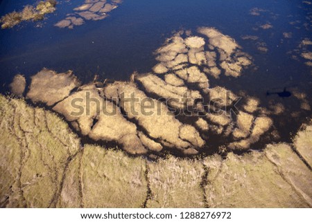 Freshwater marshes with sandy streams and channels. Okavango Delta aerial view, Botswana. The Okavango Delta is home to a rich array of  wildlife.