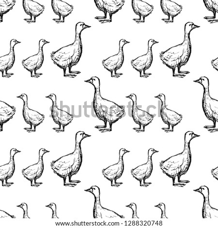 Seamless background of geese sketches