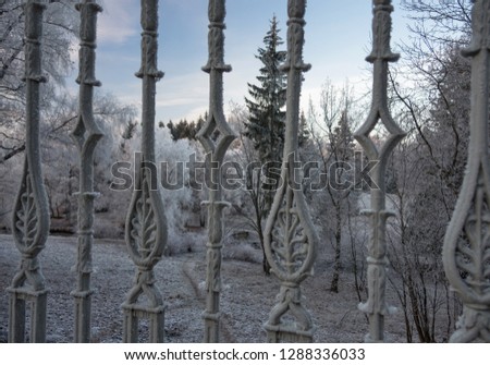 Photo of a fence in the ice in the foreground and trees on a frosty winter day in a nature reserve - Pavlovsk Park. Saint-Petersburg, Russia.