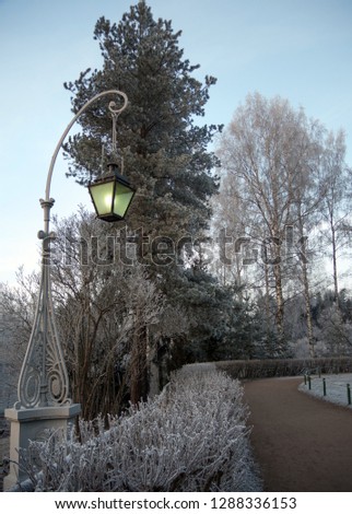 Photo of a lantern and trees on a frosty winter day in a nature reserve - Pavlovsk Park. Saint-Petersburg, Russia.