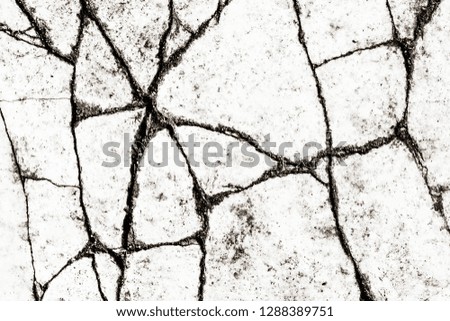 Cracked white paint asphalt road texture.