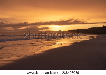 Golden hour on a tropical beach