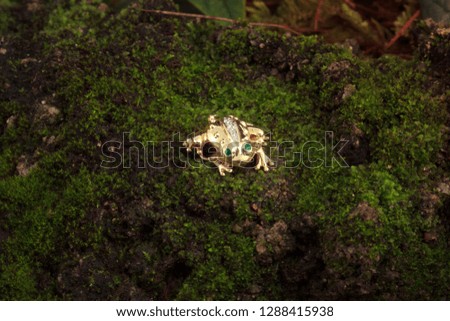 gold toad with emerald eyes and brilliants on nature