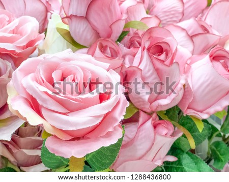 Close-range focus pink rose bouquet in Valentines.