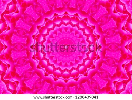Kaleidoscope of pink rose flower on dark background.