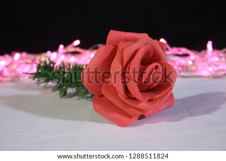 Photoshoot of flower and lamp for decoration Valentine day