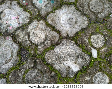 moss textured road