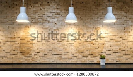 Small potted plants on the table and lamps that open on the background of a wooden wall.Styled Stock Image Mockup for Text Artwork Quotes Lettering Website Banner Template.