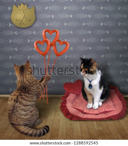 The cat with sausage hearts congratulates his lover on Valentine's Day at home. 