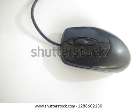 the mouse picture