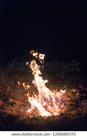 Night bonfire on black background in night. Fire, vertical photo