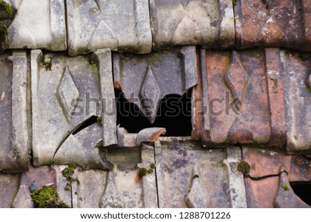 Broken roof tile in Schaffhausen Switzerland