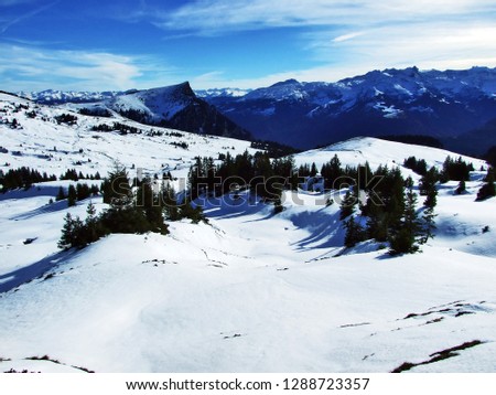 Winter atmosphere on the plateau Malun, above the Seeztal valley and under the mountain range Alvier group - Canton of St. Gallen, Switzerland