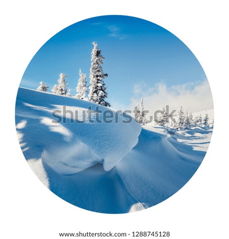 Round icon of nature with landscape. Cold morning scene in the mountain forest. Bright winter view of snowy wood. Photography in a circle. 
