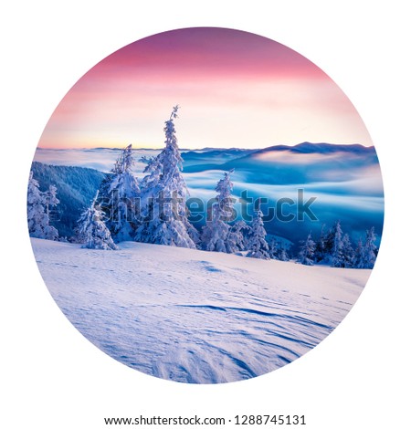 Round icon of nature with landscape. Incredible winter sunrise in Carpathian mountains with snow covered fir trees. Photography in a circle. 
