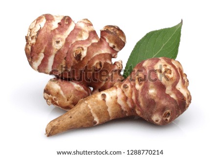 Jerusalem artichoke or sweet potato and leaf isolated on white background