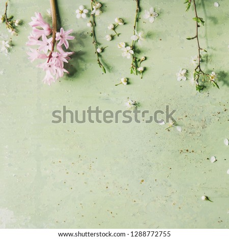 Spring white pear blooming branches and pink hyacinth over green pastel background. Womens day holiday greeting card. Copy space. floral background. Toned image. Square image