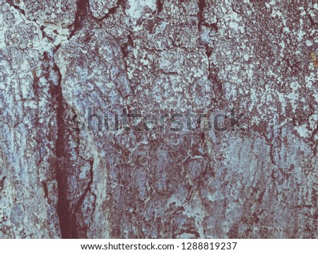 bark background texture