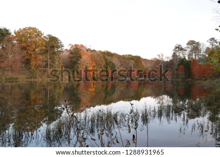 Lakeside during autumn 