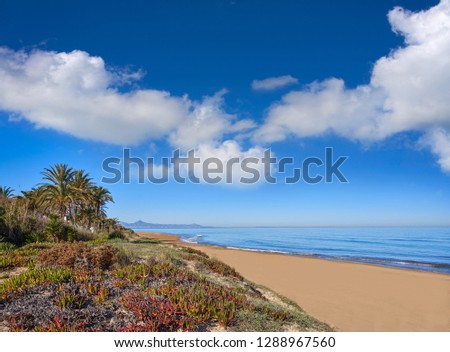 Denia las Marinas les Bovetes beach in Alicante of Spain dunes Royalty-Free Stock Photo #1288967560