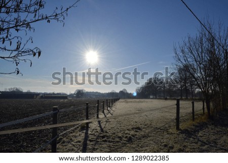 close up winter frozen field meadow with fences blue sky tree sun backlight nature landscape