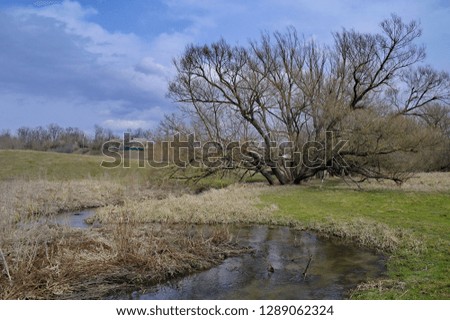 Spring landscape with river and trees