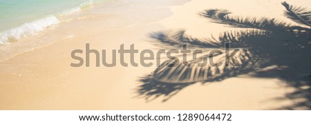 Perfect beach with silhouette of a coconut palm tree leafs on a bright beautiful sand. idyllic location. Laem tong beach in Koh Phi Phi in Thailand.