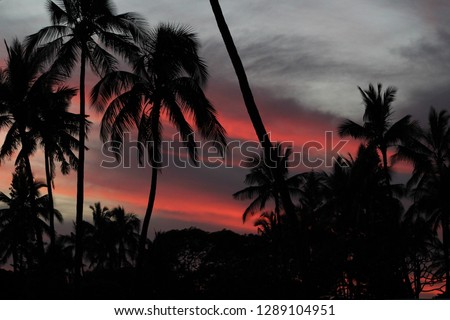 red/orange sunset over the ocean; palm trees silhouette in the background, Ewa Beach Oahu Hawaii