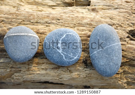 Smooth three grey and white pebble on old wooden background	
