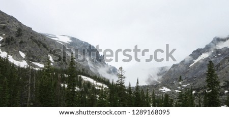     picture of fog in the mountains and trees                            