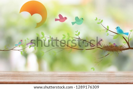 birds family and little bird in the nest on the tree with nature background