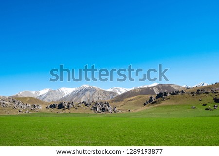 A beautiful landscape of Castle Hill with blue sky, Canterbury, New Zealand.