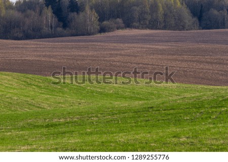 agricultural fields in springtime